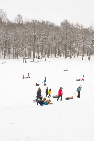 Inverno divertido patinação colinas com neve em cheesecakes trenó e sno — Fotografia de Stock