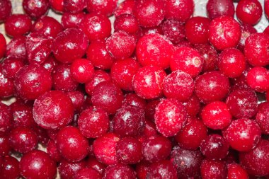 Masada soğuk donmuş kırmızı dut kızılcık