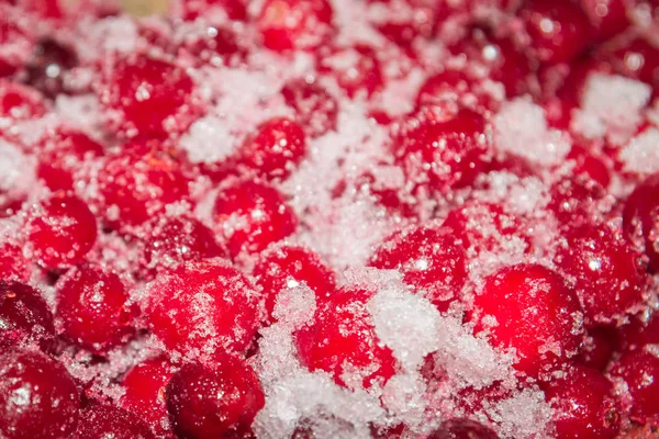 Arándanos Rojos Congelados Fríos Sobre Mesa — Foto de Stock