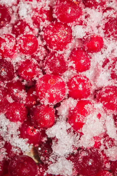 桌上冷冻的红莓果莓 — 图库照片
