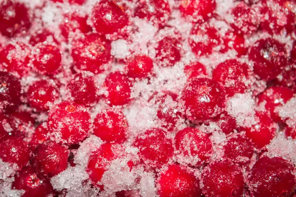 Cold Frozen Red Berry Cranberries Table — Stock Photo, Image