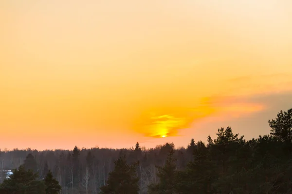 Bright beautiful sunset over the winter forest in early spring — Stock Photo, Image