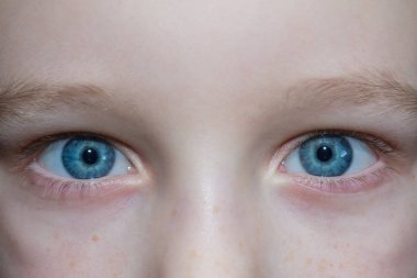 Bebek mavi bir çocuğun gözleri düşünceli güzel