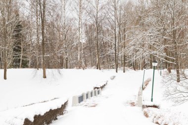 Beyaz kabarık kar kış parkta görünümünü