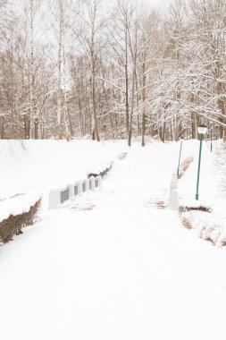 Beyaz kabarık kar kış parkta görünümünü