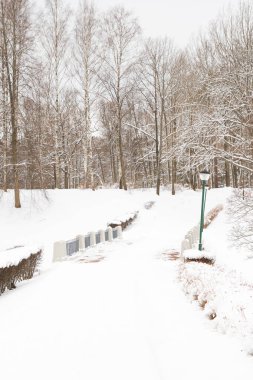Beyaz kabarık kar kış parkta görünümünü
