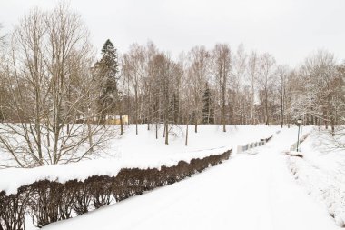 Beyaz kabarık kar kış parkta görünümünü