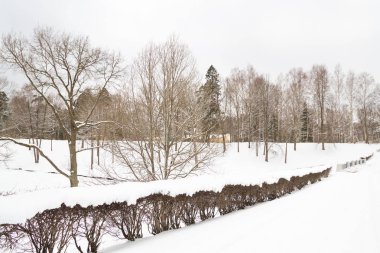 Beyaz kabarık kar kış parkta görünümünü
