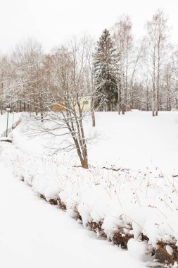 Beyaz kabarık kar kış parkta görünümünü