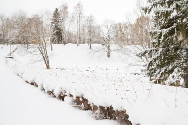 Beyaz kabarık kar kış parkta görünümünü