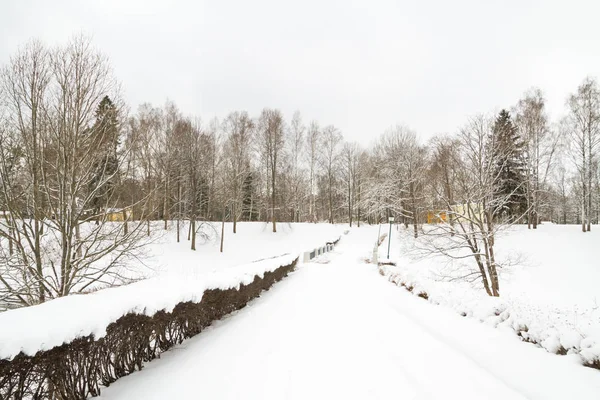 Utsikt över parken vintern i vit fluffig snö — Stockfoto