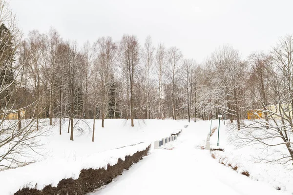 Utsikt över parken vintern i vit fluffig snö — Stockfoto