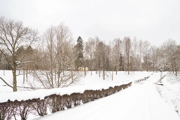 Beyaz kabarık kar kış parkta görünümünü
