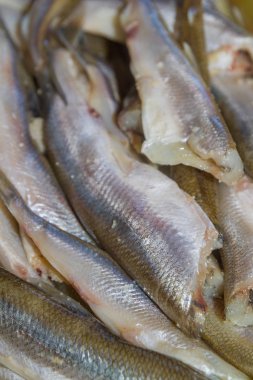 RAW balık kokuyordu yalan fırça plaka üzerinde