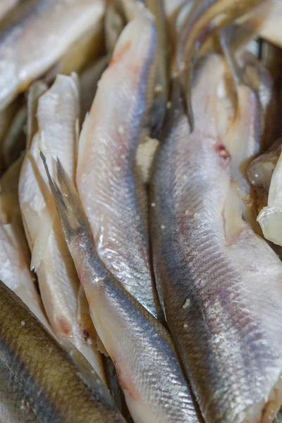 Peixes de cheiro escovado cru jaz no prato — Fotografia de Stock