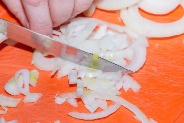 Doğranmış soğan halkaları yalanlar üzerine kurulu