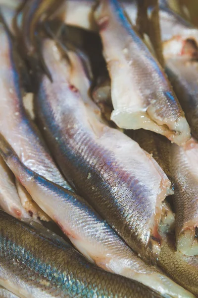 RAW szczotkowane ryby pachniały leży na talerzu — Zdjęcie stockowe