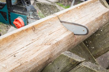 Günlükleri elektrikli testereyle yakacak odun için kesmek