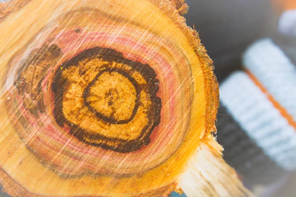 Плавний зріз дерев'яного колоди з пиломатеріалів — стокове фото