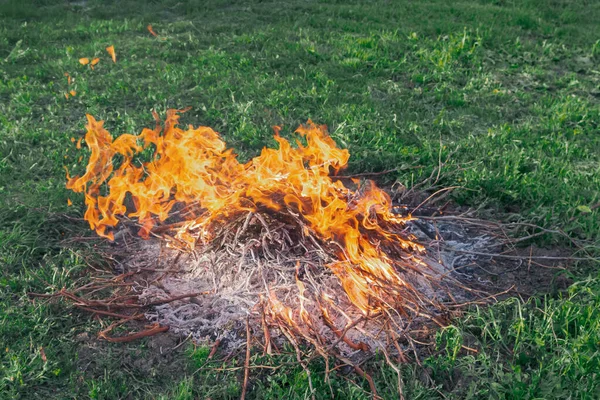 Fire of dry twigs on the green grass — Stock Photo, Image