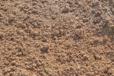 Toprak, yatağın üzerindeki kara toprakla karıştırılır.