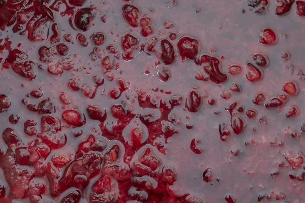 Canneberge rouge écrasée remplie d'alcool avant cuisson tinctur — Photo