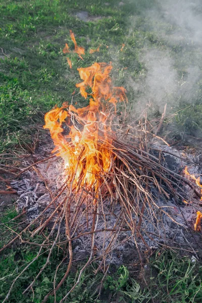 Fire of dry twigs on the green grass — Stock Photo, Image