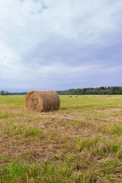 Haystacks são removidos dos campos no verão perto do para — Fotografia de Stock