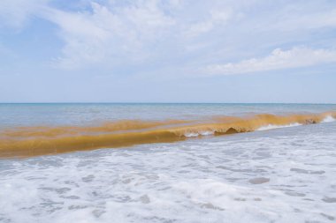 Yaz mevsiminde deniz kıyısı Yazın başında güneşli bir gün