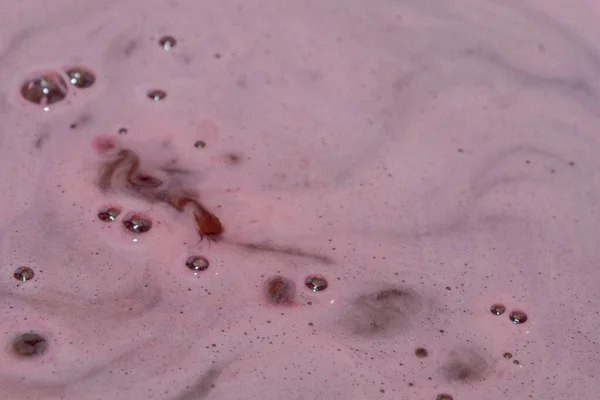 Sirup manis diseduh dari berry hitam dan daun ceri — Stok Foto