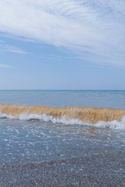 Yaz mevsiminde deniz kıyısı Yazın başında güneşli bir gün
