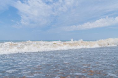 Yaz mevsiminde deniz kıyısı Yazın başında güneşli bir gün