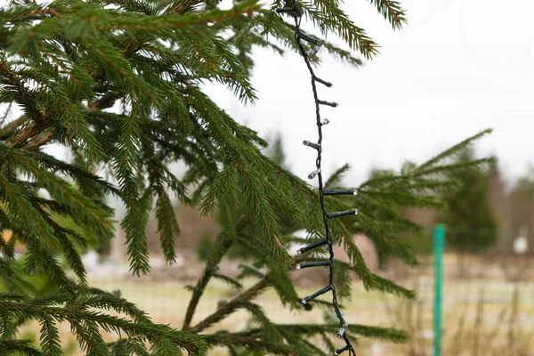 Décoration d'arbre de Noël avec guirlande colorée dans la rue — Photo