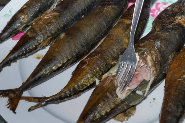 Mackerel peixe fresco fumado encontra-se quente em uma placa de cerâmica — Fotografia de Stock