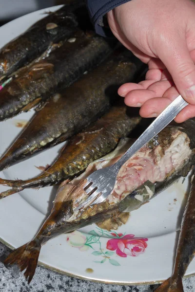 Mackerel peixe fresco fumado encontra-se quente em uma placa de cerâmica — Fotografia de Stock