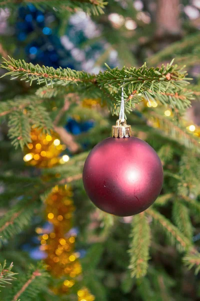 Sokakta yeşil bir köknar ağacında asılı duran Noel ağacı oyuncağı — Stok fotoğraf