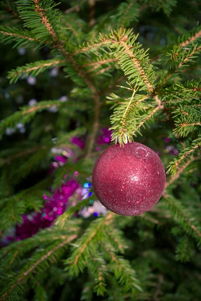 Weihnachtsbaumspielzeug Hängt Einer Grünen Tanne Auf Der Straße — Stockfoto
