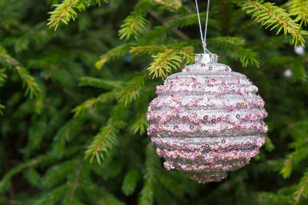 Christmas tree toy hanging on a green fir tree on the street