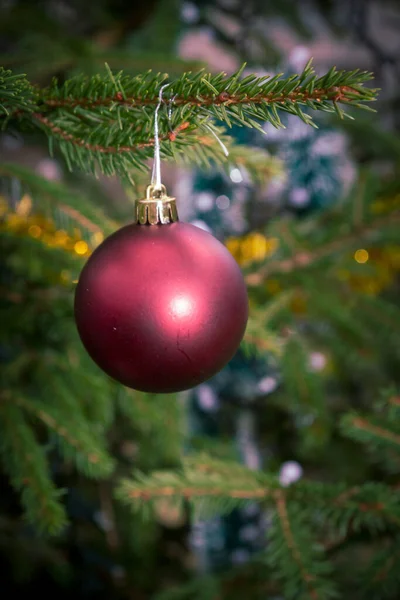 通りの緑のモミの木に吊るされたクリスマスツリーのおもちゃ — ストック写真