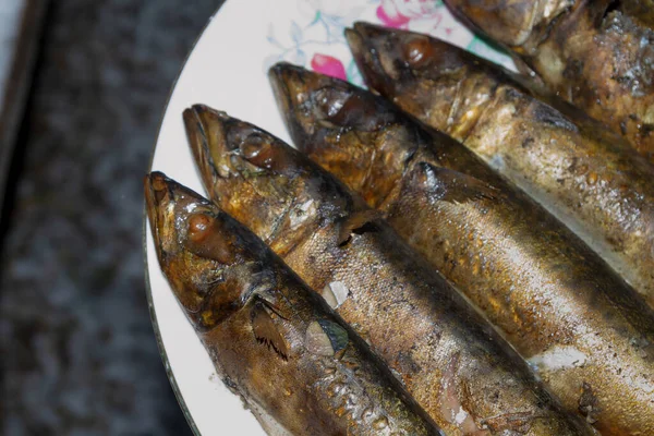 Smoked Fresh Fish Mackerel Lies Hot Ceramic Plate — 스톡 사진