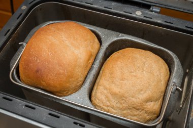 Ev yapımı ekmek bir ekmek makinesinde pişirilir.