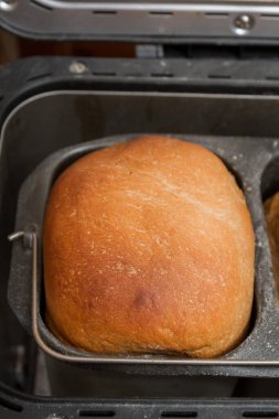 Ev yapımı ekmek bir ekmek makinesinde pişirilir.