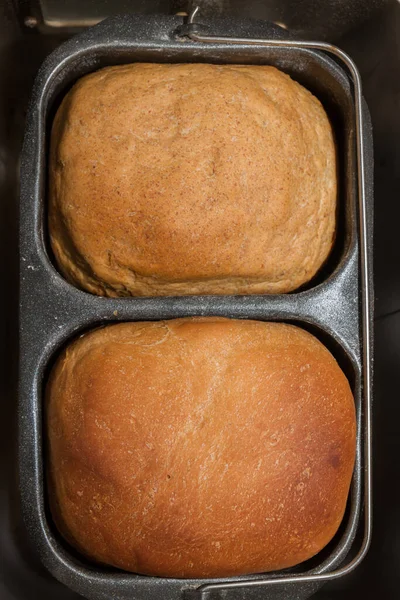 Ev yapımı ekmek bir ekmek makinesinde pişirilir.