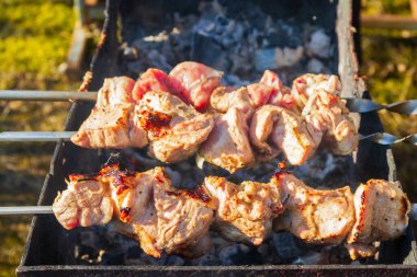 Taze domuz şiş kebap ızgarada şiş kebap yapılır.