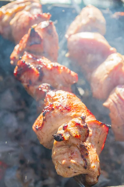 Fresh Pork Shish Kebab Fried Skewers Grill — Stock Photo, Image