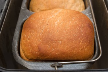 Ev yapımı ekmek bir ekmek makinesinde pişirilir.