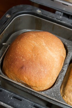 Ev yapımı ekmek bir ekmek makinesinde pişirilir.