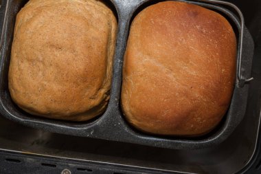 Ev yapımı ekmek bir ekmek makinesinde pişirilir.