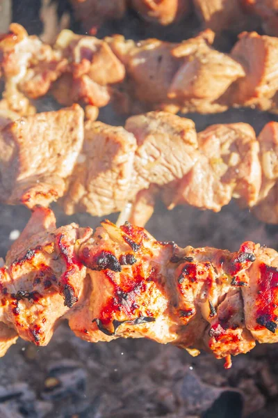 Kebab Cerdo Fresco Fríe Brochetas Parrilla — Foto de Stock