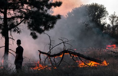 Çocuk orman yangın duman